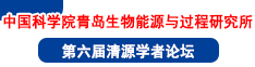 中國(guó)科學(xué)院青島生物能源與過(guò)程研究所第六屆清源學(xué)者論壇